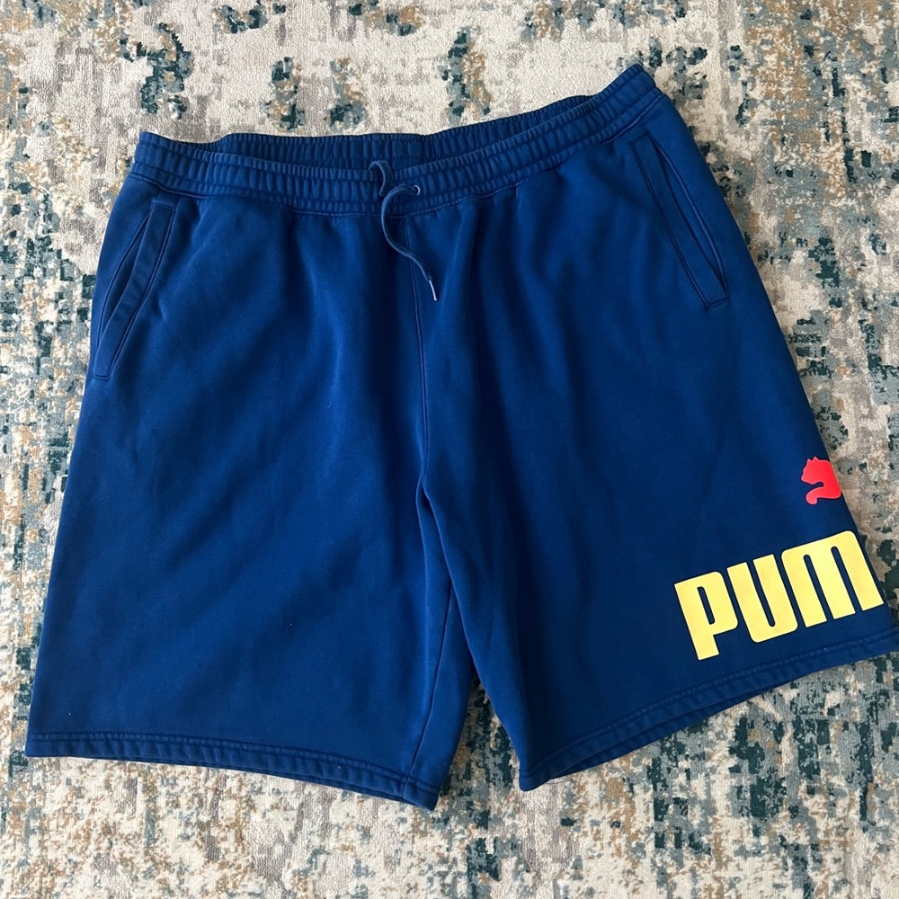Puma Men's Blue Sweat Shorts Shorts